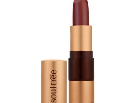 Soultree Ayurvedic Lipstick Java Brown 810 Cheap