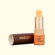 Soultree Calendula & Honey With Organic Ghee Lip Balm For Cheap