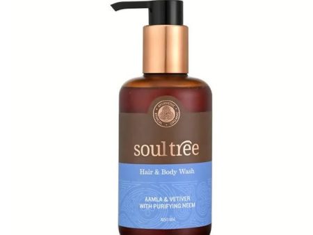 Soultree Hair & Body Wash - Aamla & Vetiver with Purifying Neem Sale