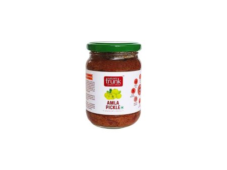 Nature s Trunk Amla pickle For Discount