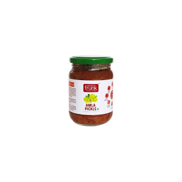 Nature s Trunk Amla pickle For Discount