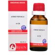 Bjain Homeopathy Ammi Visnaga Dilution For Cheap