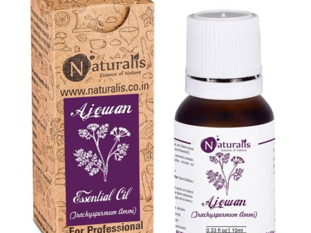 Naturalis Essence of Nature Ajwain Ajowan Essential Oil For Sale