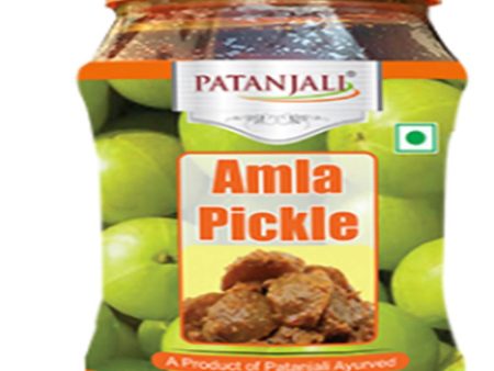 Patanjali Amla Pickle Supply