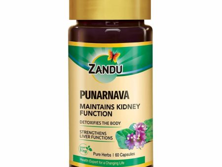 Zandu Punarnava Capsules Discount