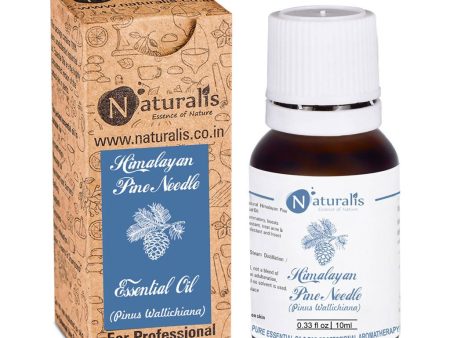 Naturalis Essence Himalayan Pine Needle Essential Oil Hot on Sale