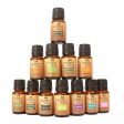 Ancient Living Aromatherapy Set Of 12 Essential Oils Sale