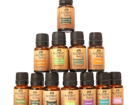 Ancient Living Aromatherapy Set Of 12 Essential Oils Sale