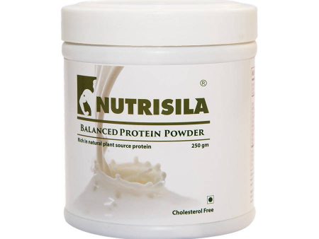 Extasy Nutrisila Balanced Protein Powder For Discount