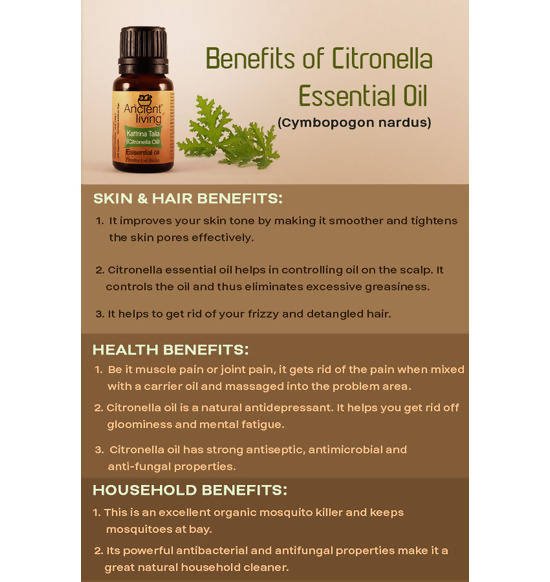 Ancient Living Kattrina Taila (Citronella Oil) Essential Oil Hot on Sale