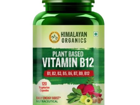 Himalayan Organics Organic B12 500mg Vegetarian Capsules Supply