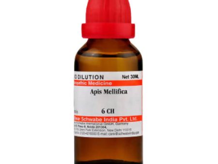 Dr. Willmar Schwabe India Apis Mellifica Dilution Online