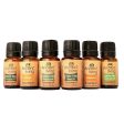 Ancient Living 6 Essential Oils Set Online Sale