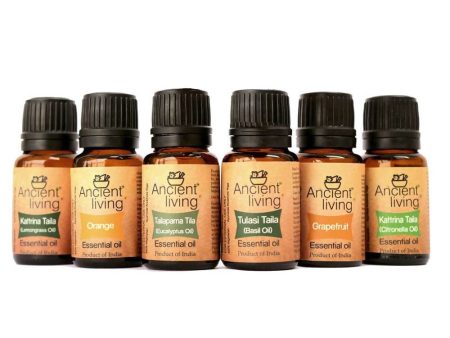 Ancient Living 6 Essential Oils Set Online Sale