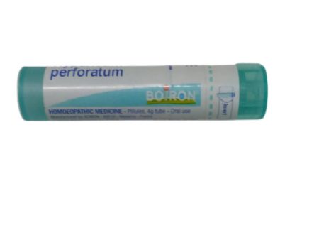 Boiron Homeopathy Hypericum Perforatum 6C Online