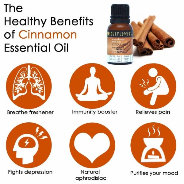 Soulflower Cinnamon Essential Oil Online Sale