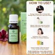 Bella Vita Organic Basil Essential Oil Sale