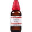 Dr. Willmar Schwabe India Belladonna Dilution Hot on Sale